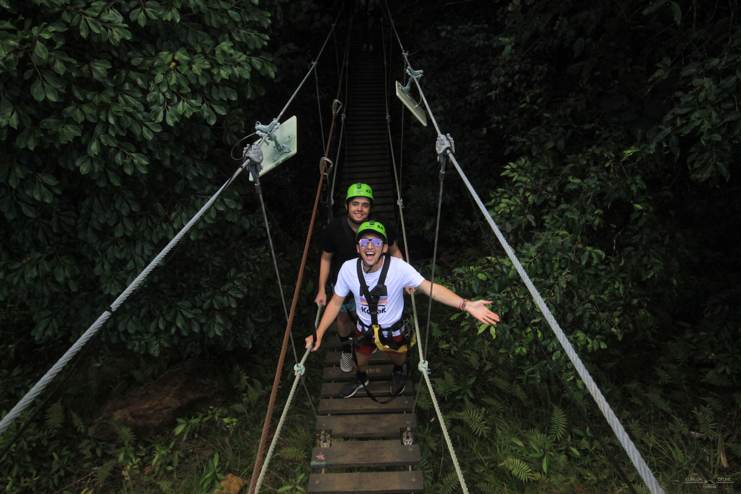 zipline.png